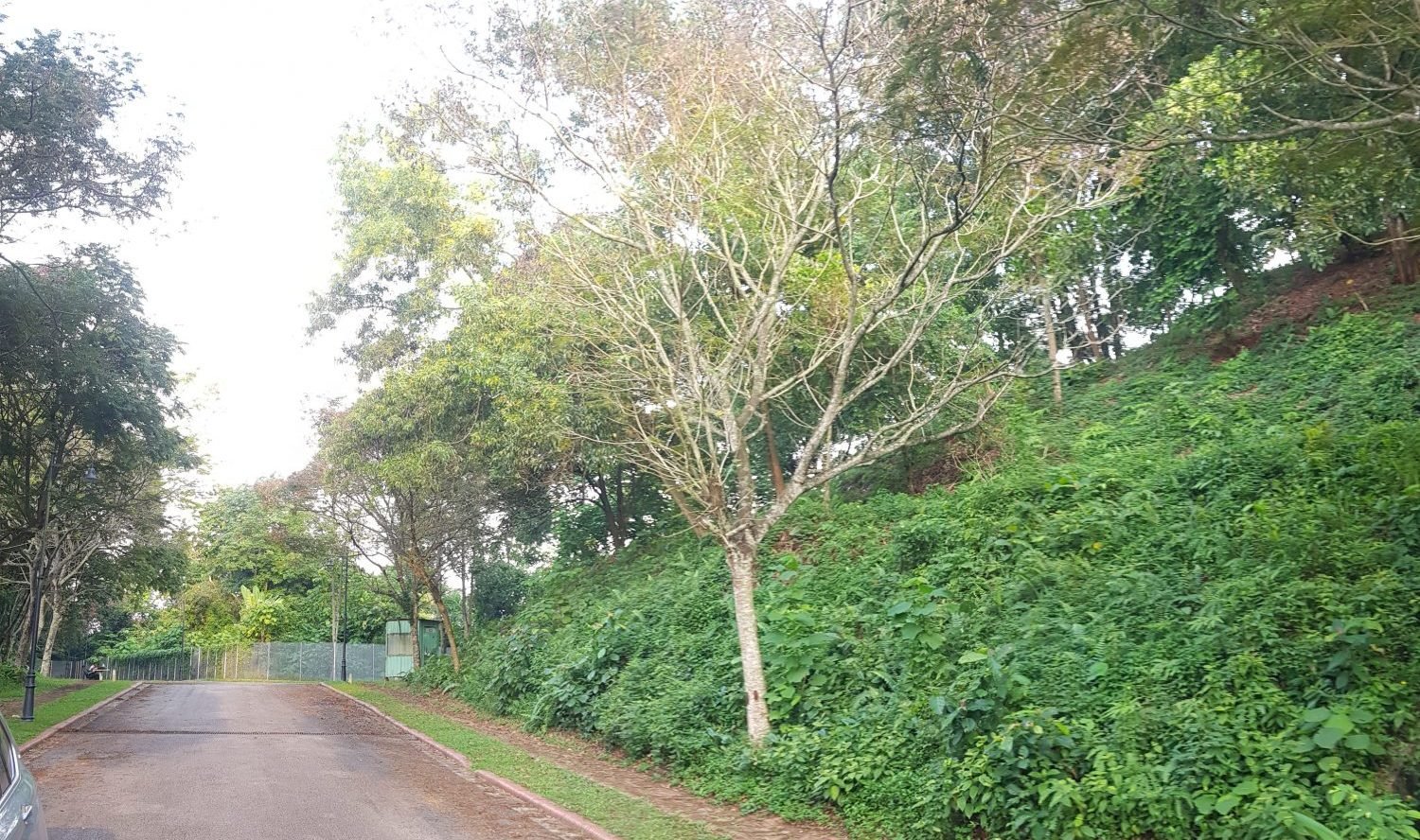 Country Heights Damansara – Freehold Vacant Bungalow lot