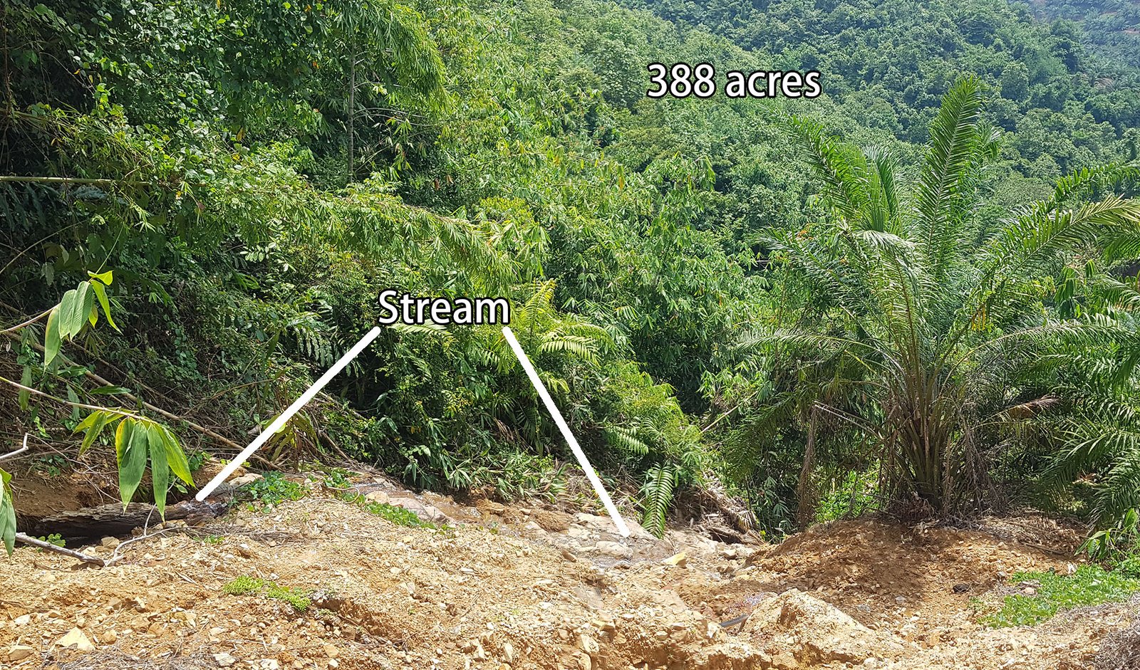 Gua Musang 388 acres-stream