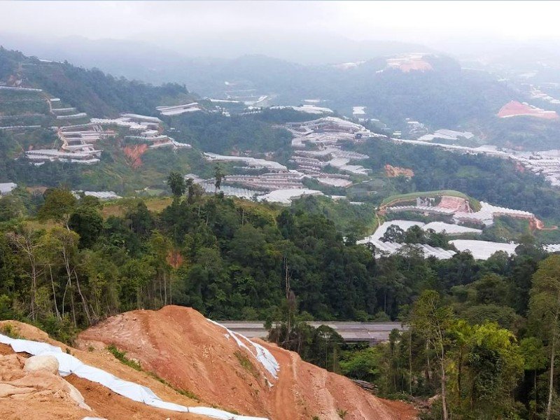 Cameron – Lojing Highland, Kelantan – 500 acres Logging Land + potential for durian planting 33 years (low entry cost)