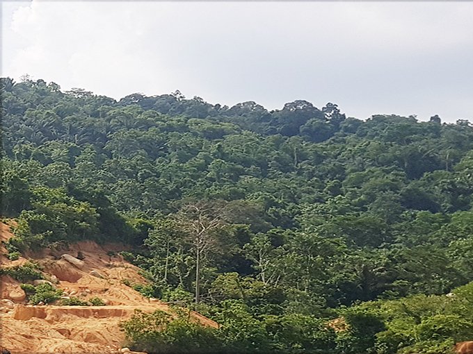 Negeri Sembilan – 300 acres Freehold Granite hill 花岗石山出售
