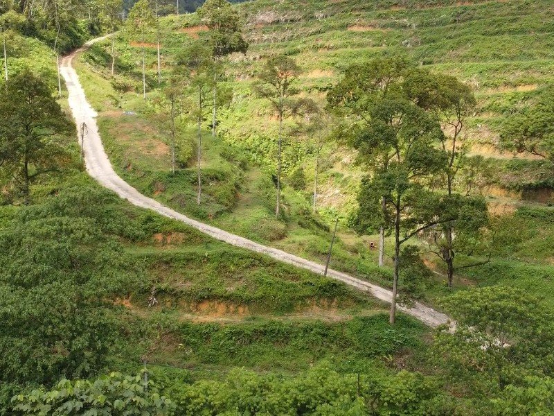 Sang Lee, Bentong – 18 acres Durian Plantation (Facing Main Road) 生利，劳勿榴莲园出售