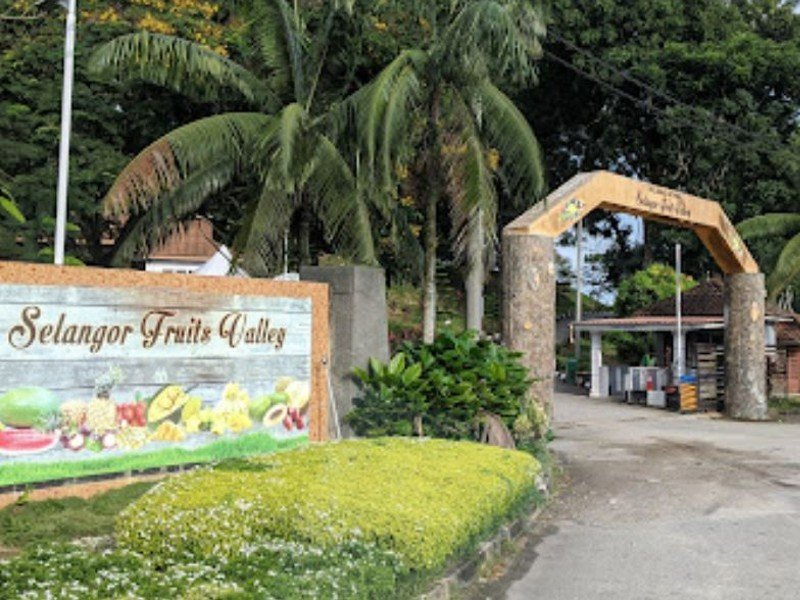 Hulu Selangor – 5 acres Vegetable Farm near Selangor Fruit Valley